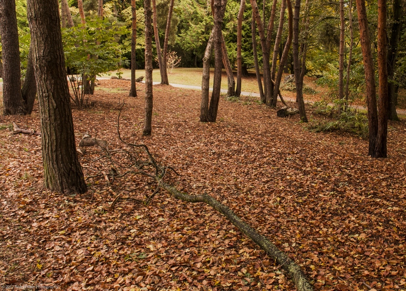 2012-10-20 12-50-44 - 2012-10-20_12-50-44.jpg 2012-10-20_12-50-44.jpg