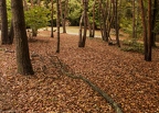 2012-10-20 12-50-44